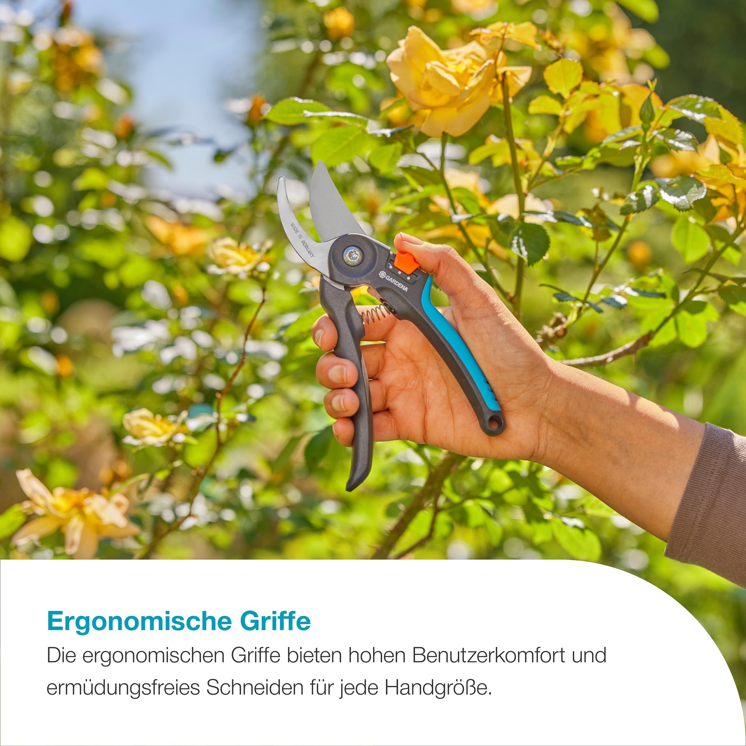 Bypass-Gartenschere